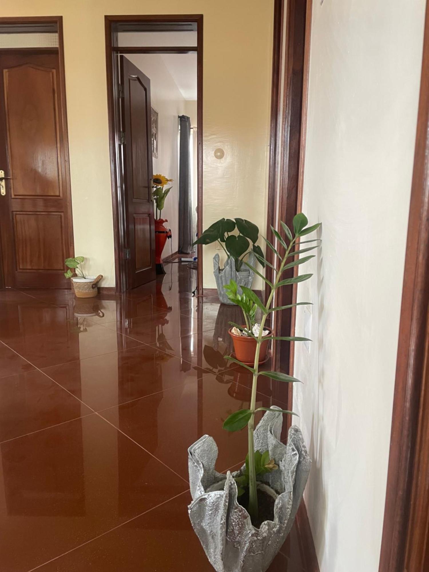 Tarrafal House Ngoại thất bức ảnh
